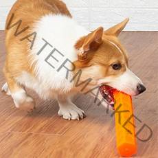 딩동펫 반려동물 육각 막대장난감 소형 18 x 3.6 cm, 1개