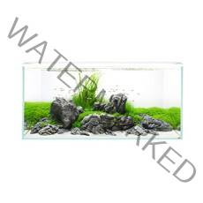 모비딕 슬림 올디아망 어항 + 등커버 세트, 어항(단일색상), 등커버(WHITE)