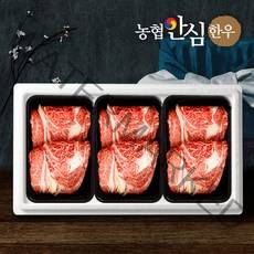 [명절선물세트][농협안심한우] 한우 등심 구이용 선물세트 2호(1.5kg), 1개
