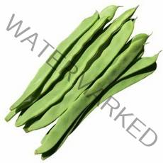 [신중국식품] 싱싱채당콩(밴뚜졸)., 1개, 500g