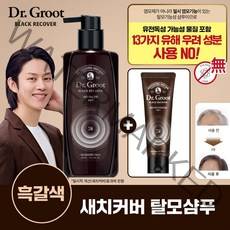 [흑갈색] 닥터그루트 블랙리커버 새치커버 샴푸 300ml+트릿 75ml, 단품