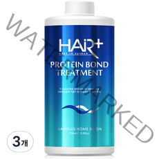 헤어플러스 단백질 본드 극손상머리 클리닉 트리트먼트, 700ml, 3개