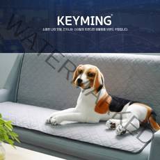 강아지 패드 반영구 빨아쓰는 애견 누기패드 소형 배변 매트 60x45cm, [코코비샵] 뼈 패턴