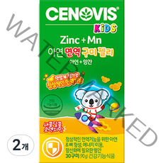 세노비스 키즈 아연 면역 구미젤리 90g, 2개