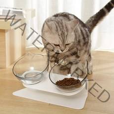 공급 그릇 피더 개 물 애완 동물 고양이 그릇에 대한 강아지 음식 애완 동물 스탠드 미끄럼 방지 및 고양이 제기 피더 더블 그릇 그릇, 클리어, 무료 크기