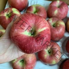 껍질째먹는 햇사과 경북 청송 안동 산지직송 선물용 꿀사과, 1개, 사과 꼬마 2kg(14~16과)