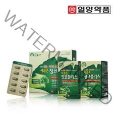 일양약품 서클존 징코플러스 120정 혈행 기억력 개선
