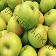 경북 여름 초록사과 소과 아삭하고 달콤한 맛있는 아오리사과 2kg 3kg 5kg 10kg, 아오리 소과2kg, 1개