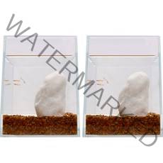 미미네아쿠아 내추럴 목문사 어항 바닥재 3~5mm 3kg, 혼합색상, 2개