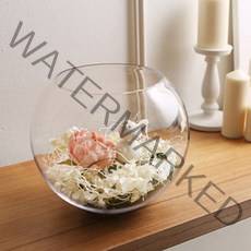 글라스코 유리 볼 어항, 투명, 1개