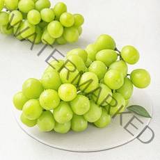 다조은 강서시장 새벽경매 샤인머스캣, 1개, 1.5kg