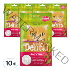 캣템 스피루리나 고양이 덴탈 간식 60g, 비프, 10개