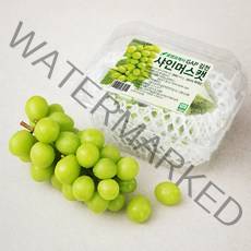 GAP 김천 샤인머스캣, 500g, 1팩