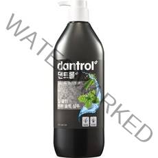 댄트롤 딥 클린 박하 솔트 샴푸, 820ml, 1개