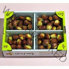 [산지에서바로] 고당도 사과대추 제철 대왕대추 생대추, 품질보증 (특) 사과대추 1kg, 1개