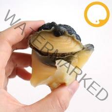 참소라 자숙탈각 1kg M(약40~60개) 피뿔고둥살 껍질제거 손질, 1개