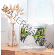 페이토 스카이브릿지 어항 노멀패키지