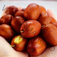 23년 보은대추 생대추 1kg 농가직송, 1팩, 1kg(별초)