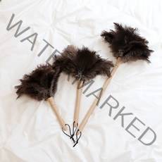 [잘비] 프리미엄 타조털 먼지떨이, M, 1개