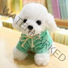 네이처타임즈 부들푸들 후드 강아지 인형 + 푸들 키링, 25cm, 그린 후드