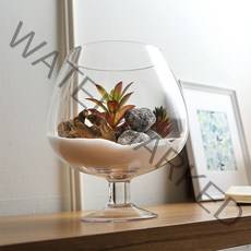 삼호유리 와인잔 유리 미니 어항 꽃화병 SH1005