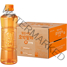 빙그레 맑은아침 호박팥차 무라벨, 500ml, 20개