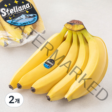 스텔라나 베트남산 고산지 바나나, 1.15kg, 2개