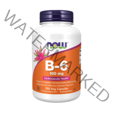 나우푸드 B-6 100mg 캡슐, 250개입, 1개, 250정