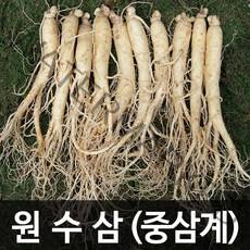 청명네이처 금산인삼 수삼(원수삼) 중삼계(750g) (31~45뿌리), 1개, 750g