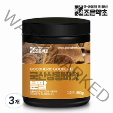 조은약초 국산 상황버섯 분말, 50g, 3개