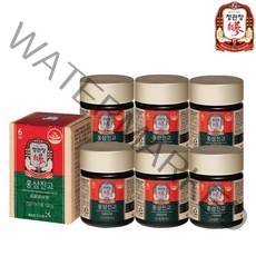 [정관장] 홍삼진고 100g/6병+쇼핑백6매, 없음