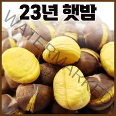 23년 명품 국산 공주밤 및 23년산 명품약단밤 생율 1kg+1kg 칼집밤 혼합, 23년산 햇공주밤 1kg + 1kg(칼집밤)