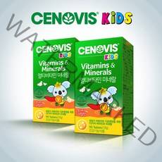 세노비스 [세노비스] 키즈 멀티비타민 미네랄 (90정) x 2병, 선택완료, 단품없음