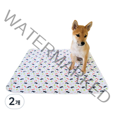펫코노미 강아지 빨아쓰는 배변매트, 2개, 1개입