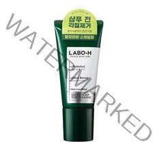 라보에이치 솔티드 두피 딥클렌저, 1개, 120ml