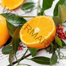 [착한식탁] 천혜향 선물세트 4.5kg 22과내외, 상세 설명 참조