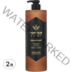 케라시스 프로폴리스 샤인 트리트먼트, 1000ml, 2개