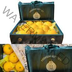[선물포장 농장직송] 고당도 제주 황금향 선물세트 2kg 3kg 5kg 가정용 선물용 선물 산지직송, 1박스, 3kg (5-15과 선물포장부직포가방추가)