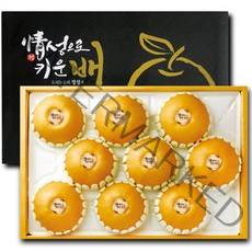 GAP 인증 산지직송 프리미엄 나주배 신고배 선물세트 제수용 가정용 과일 햇 배 설 추석 명절 선물용 5kg 7.5kg 15kg, 1. 5kg 9~10과 내외(선물용)