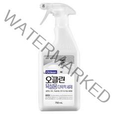 오클린 욕실용 다목적 세제, 750ml, 1개