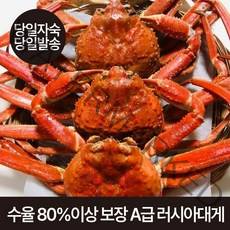 수율보장 100% 러시아 대게 정품 A급 3kg 2~4미, 1개