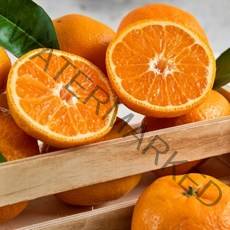 [지구다움] 부와 명품의 향기 제주황금향 추석명절과일선물세트, 선물세트1 (2kg 5~12개), 없음